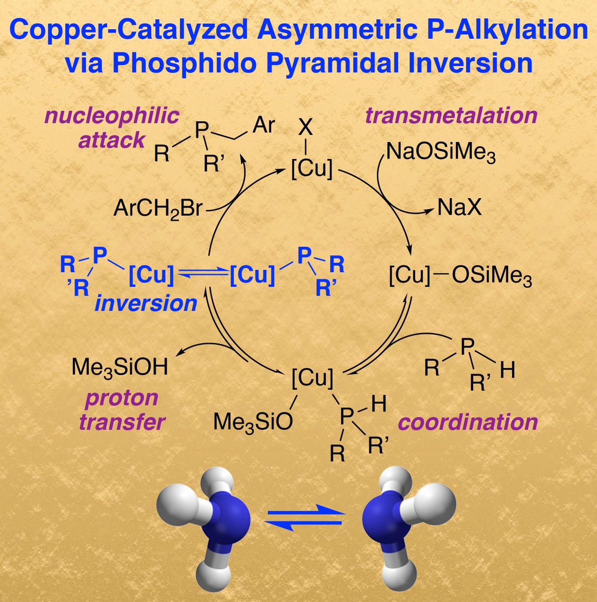 glueckd's tweet photo. Feeling Cu, might invert later

Cu(diphos*)(PRR'): fast pyramidal inversion, P-alkylation. Catalytic asymmetric synthesis of P-stereogenic phosphines with an earth-abundant metal in our @orgmet_acs paper, thanks to @sgallant331 @ryantipker @DartmouthChem 
https://t.co/R7h9aWh60t https://t.co/zk491oBFPM