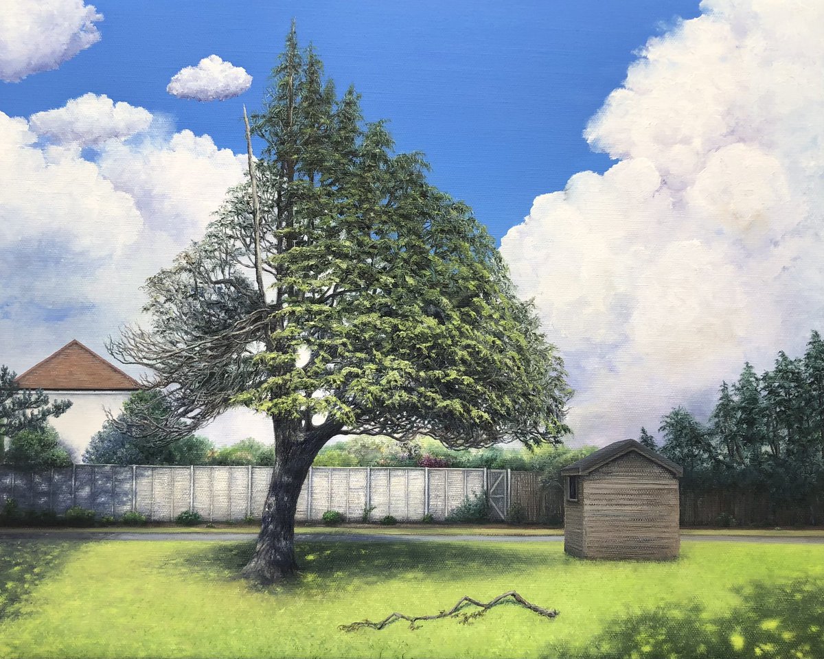 Holly Brodie tweet media