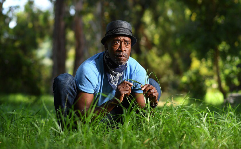 GibbsPlug's tweet photo. @FreddieGibbs new film an instant classic. #DownWithTheKing https://t.co/WsGIZVxiVc