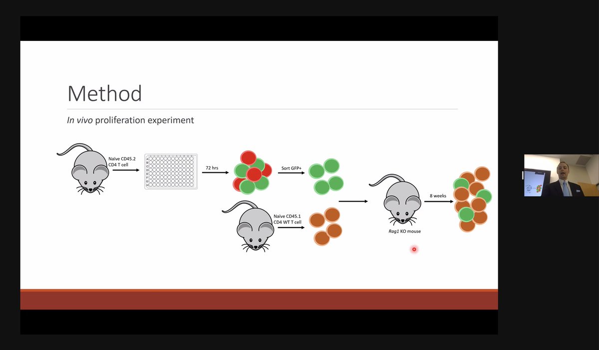 Congratulations to Preston Arnold on the successful defense of his PhD dissertation “BAT3 and IRF4 interactions control iTreg cell fare decisions”! Fantastic work from our newest Dr.
<a href="/HMethodistMD/">Houston Methodist MD</a> @HMAIChief <a href="/TAMUmedicine/">Texas A&M Medicine</a> #Immunology #PhD <a href="/tamucommedsci/">Texas A&M Medical Sciences</a>