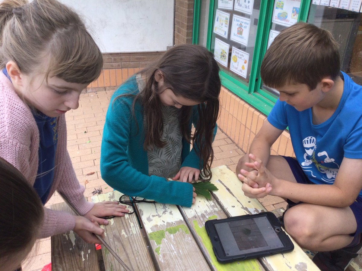 Blwyddyn 4 Cross Ash tweet media