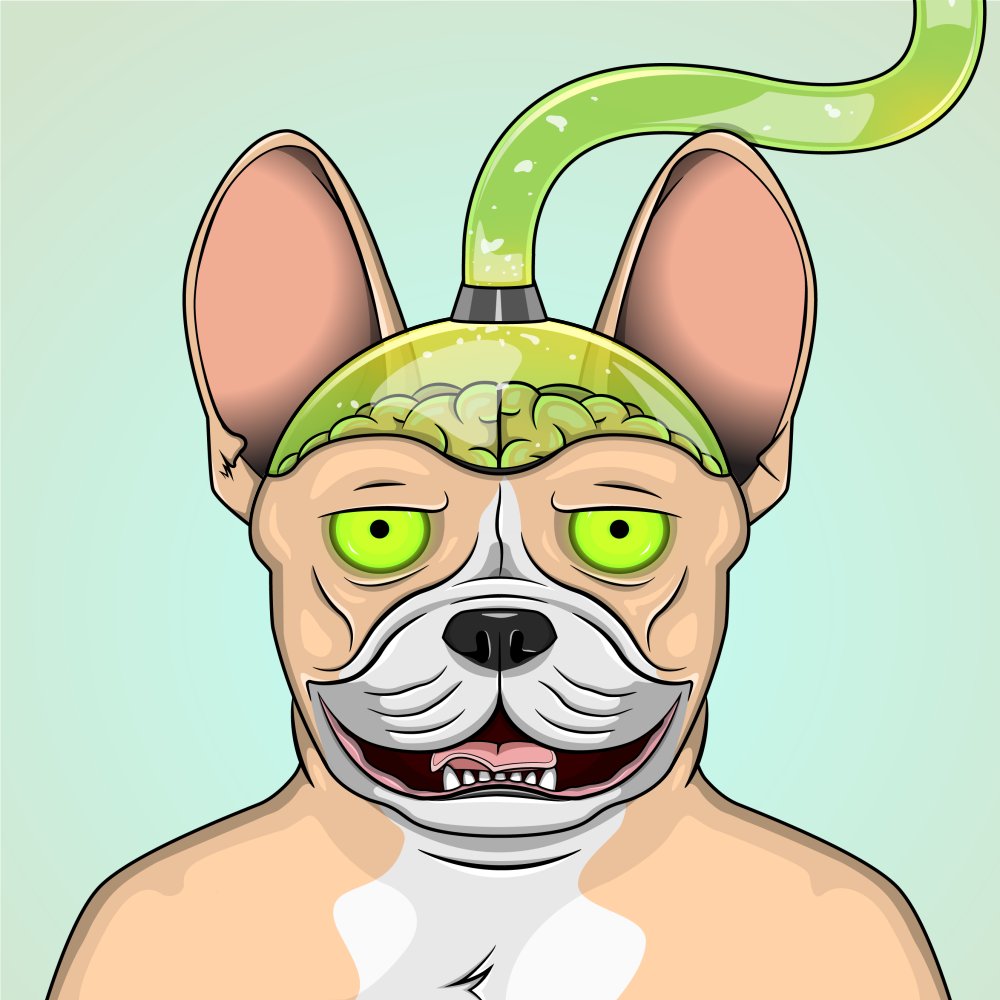 FrenchieVerseFV's tweet photo. Here is one of our more wild and wonderful frenchies! It seems like this one has uh... made some modifications to themselves... 

#FrenchieVerse #NFTs #NFTProject #Frenchie #art https://t.co/TEcnKaDhTC