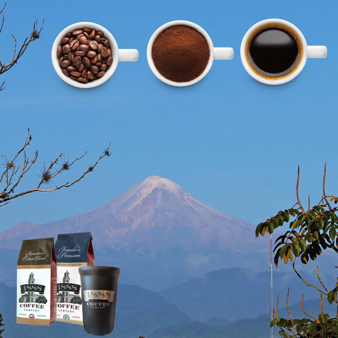 1888CoffeeCo's tweet photo. We ship our small batch, freshly roasted beans directly from our farm in Veracruz, MX to Oakland, CA where it is sent Priority Mail to your doorstep. Every bean is treated as a prize from the moment it is picked to the moment it is packed and delivered... https://t.co/lnPM1RzcOM
