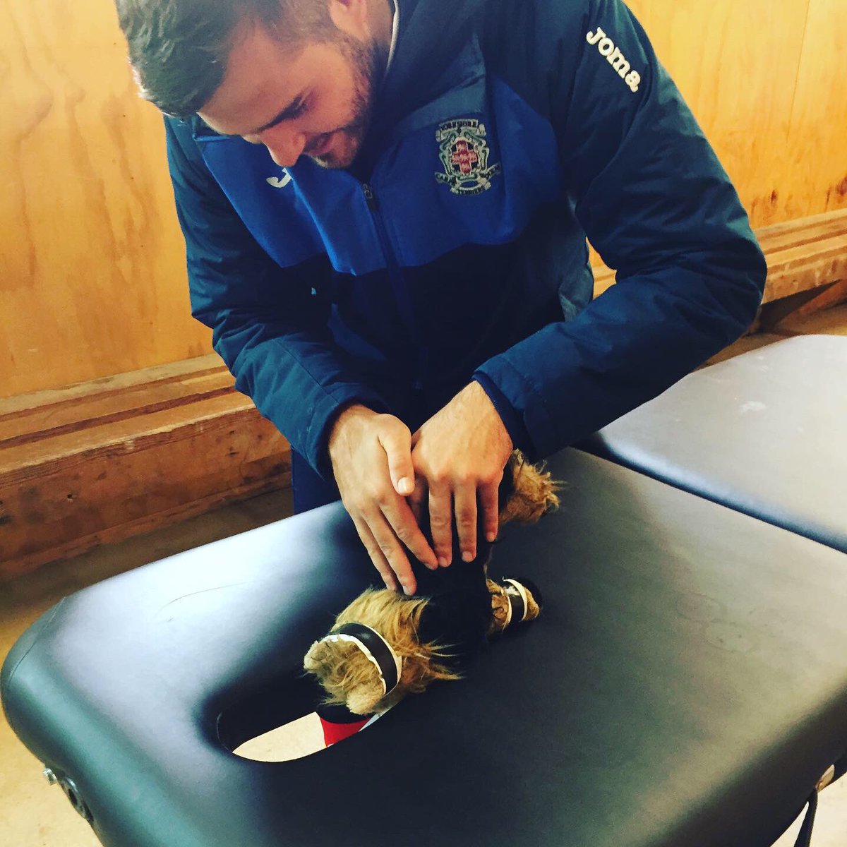 #TonysTuesday

How are you preparing?

One of Tony’s prematch rituals is to get a massage! Here he is getting treated on the 2017 tour in New Zealand 🇳🇿 

He’ll be at <a href="/IlkleyRugby/">Ilkley RFC Official</a> for the <a href="/Terriers7s/">Yorkshire Terriers 7s Rugby</a> next run out - will you?

#terriersrugby