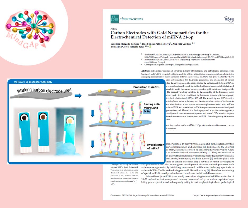 MindgapO's tweet image. ⚠️🤩 A new article from BioMark@UC is available ⚠️🤩

Read it here:
mdpi.com/2227-9040/10/5…

#microRNA #EVs #mindGAP #science #BioMark