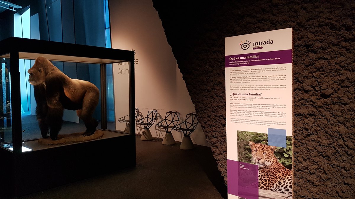 museuciencies's tweet photo. Hoy en el día del #OrgulloLGTBI  nos hace mucha ilusión ofreceros la exposición #UnaMiradaLGTBI en el mundo animal en versión itinerante y gratuita para quien esté interesado@.

🏳️‍🌈https://t.co/6l93HxAuBc

#OrgullosaBCN https://t.co/sa7RzV2Jr8