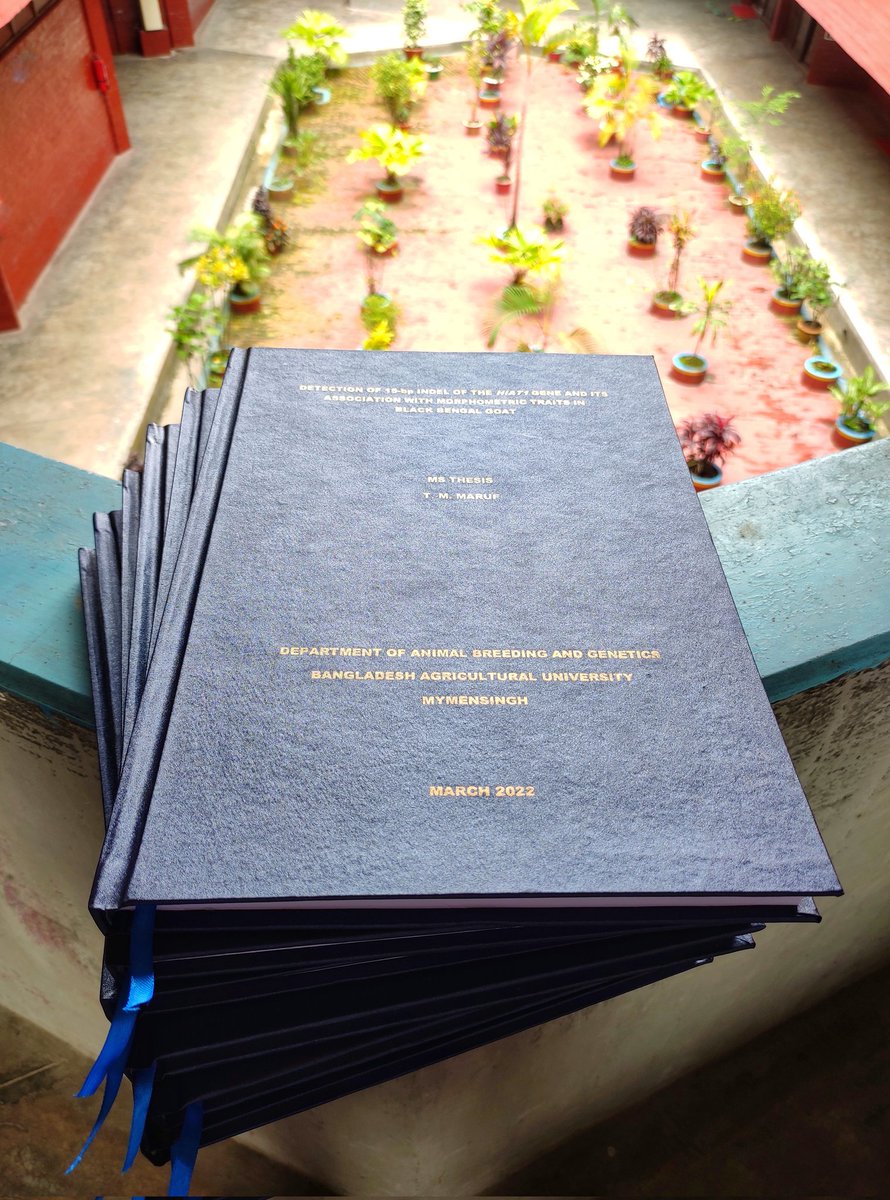 TanvirMdMaruf's tweet photo. Finally, Today I have submitted the official copies of my MS thesis (Hard Bindings) into the office of Department of Animal Breeding and Genetics, Bangladesh Agricultural University.
Alhamdulillah!
#research #MSthesis https://t.co/MeJh4Xwyim