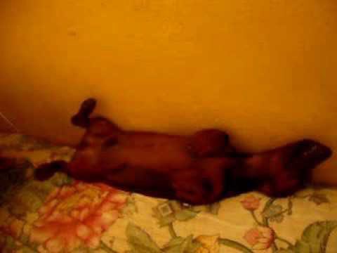 EL SCRATCH tweet media