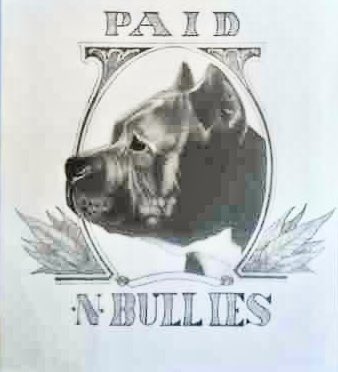 This is a logo I did