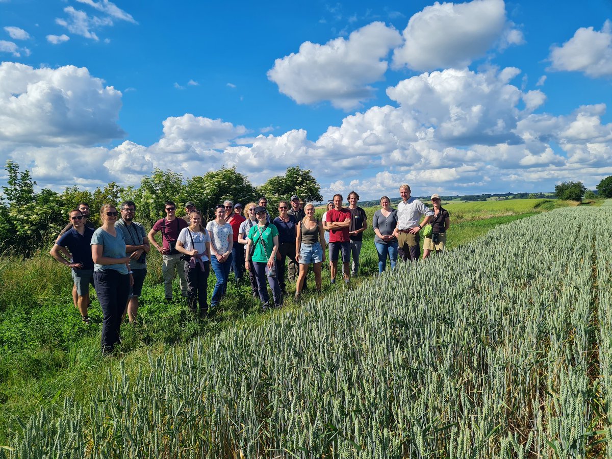 PARTRIDGE_net's tweet photo. On the 3rd day of our project field trip to 🇩🇰 we marvelled at some amazing #setaside, sampled some great local #food, discussed #habitat management of a #rewilding project and a small-game estate and looked at #partridge foraging habitat. Great day @NorthSeaRegion https://t.co/9BZ3PmFoqH