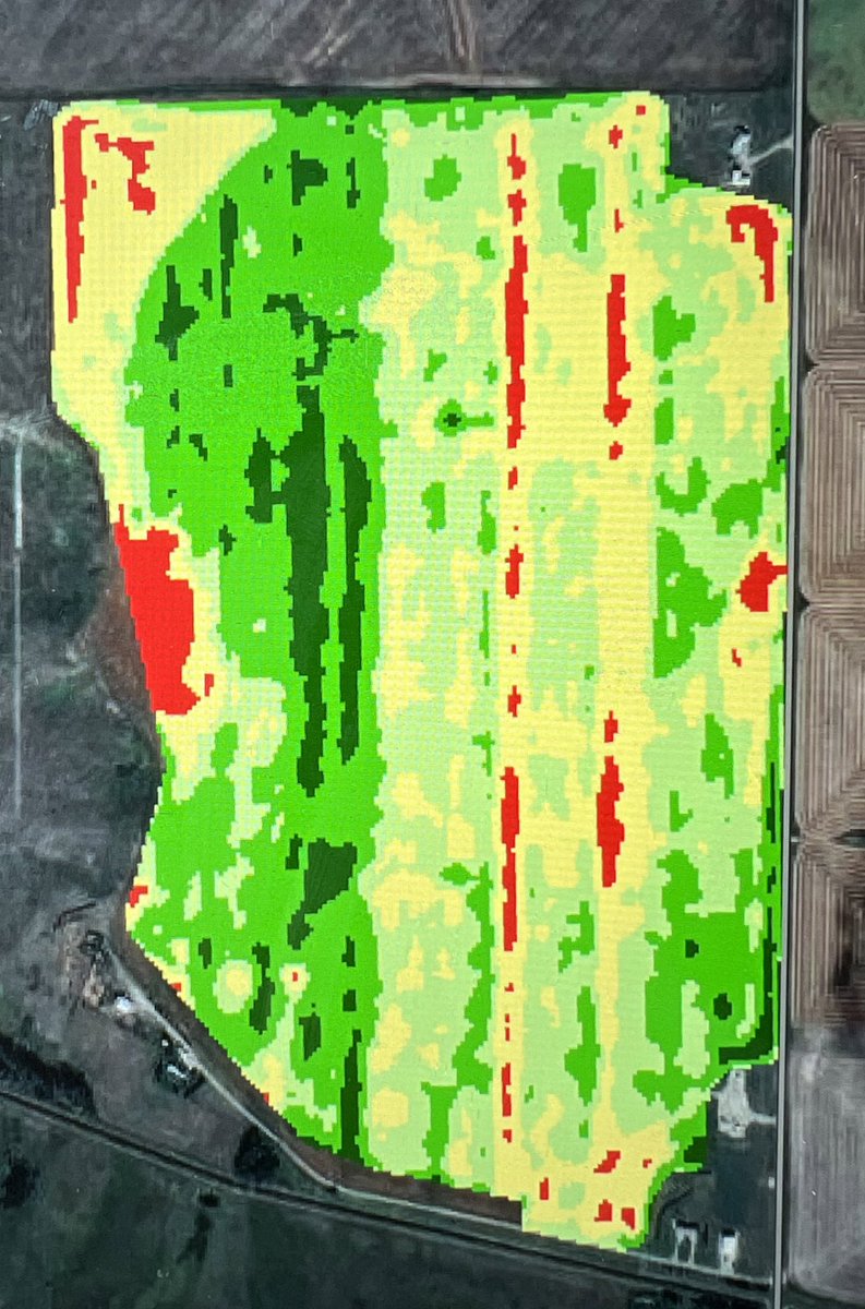 PremiumAg's tweet image. Out taking some tissue tests and plant measurements today on a #phosphorus trial. 2 check strips with NO P for 4 crops. Chicken manure applied on west and east side. Irrigated. #canola this year. Example of accelerated P removal! Don't skimp. 

@Rep_Nutrients @EarthRenewInc