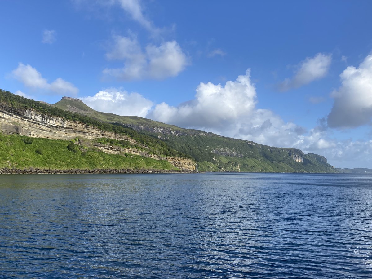 Irene Boston tweet media