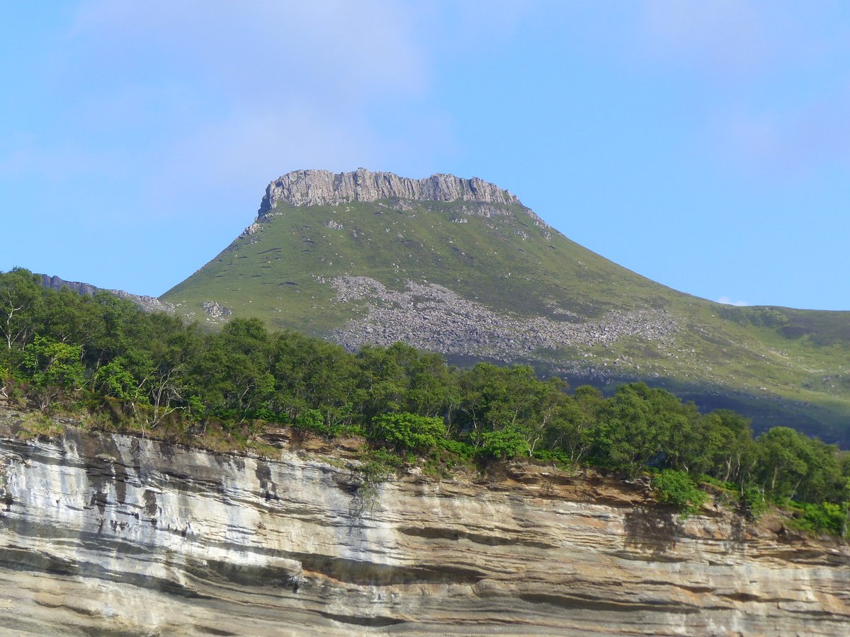 Irene Boston tweet media