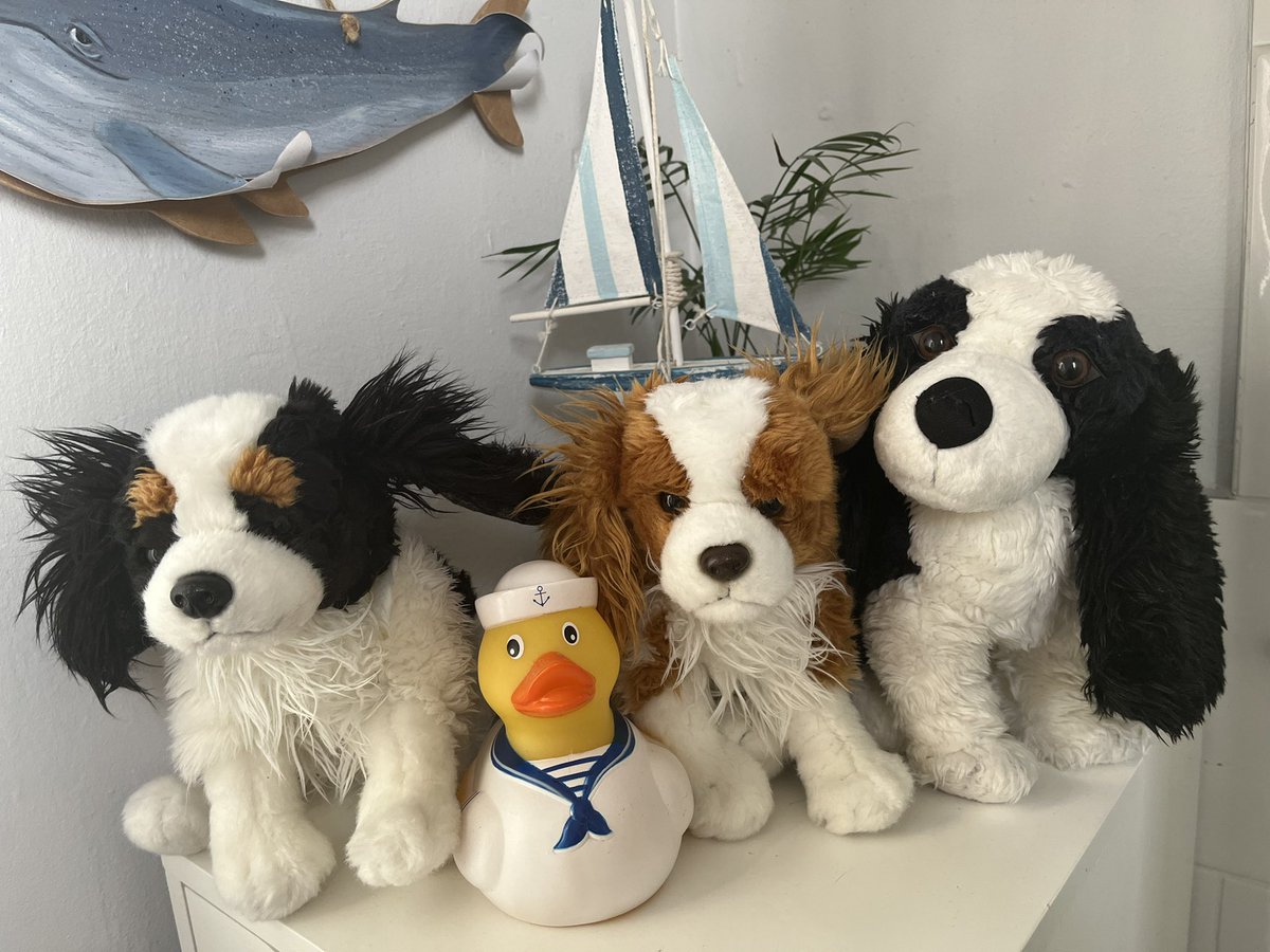 Jasper, Bluebell and Violet have come home for a bubble bath tonight. They enjoyed playing with their toys in the bath too! 🦆⛵️💦