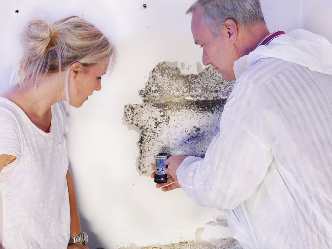 MultipletasksKY's tweet image. Our professional mold treatment team will conduct inspections and eliminate the issue at the source, protecting you and your property from further damage. #MoldTreatment bit.ly/3xt0Mwu