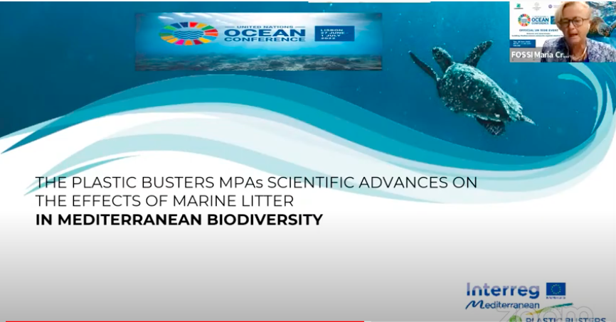 Plastic Busters CAP tweet media