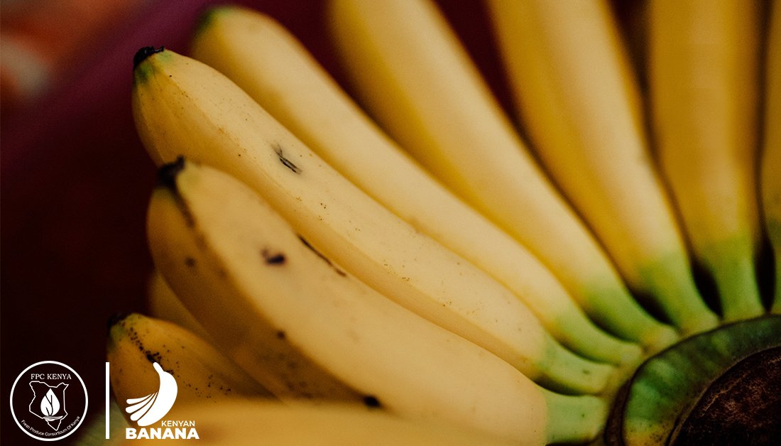 BananasFromKenya (BananasKenya) Twitter Tweets • TwiCopy