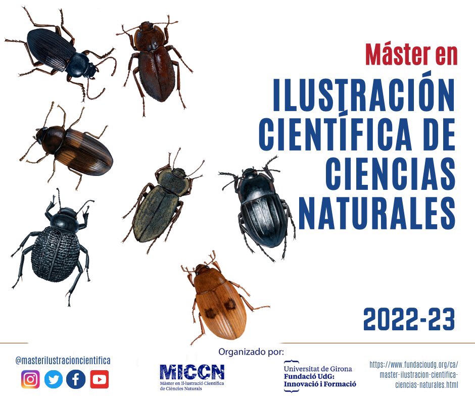 Nuevo proceso de matrícula del #máster en #ilustracióncientífica en #cienciasnaturales by <a href="/fundacioudg/">Fundació Universitat de Girona</a> En octubre empezamos!