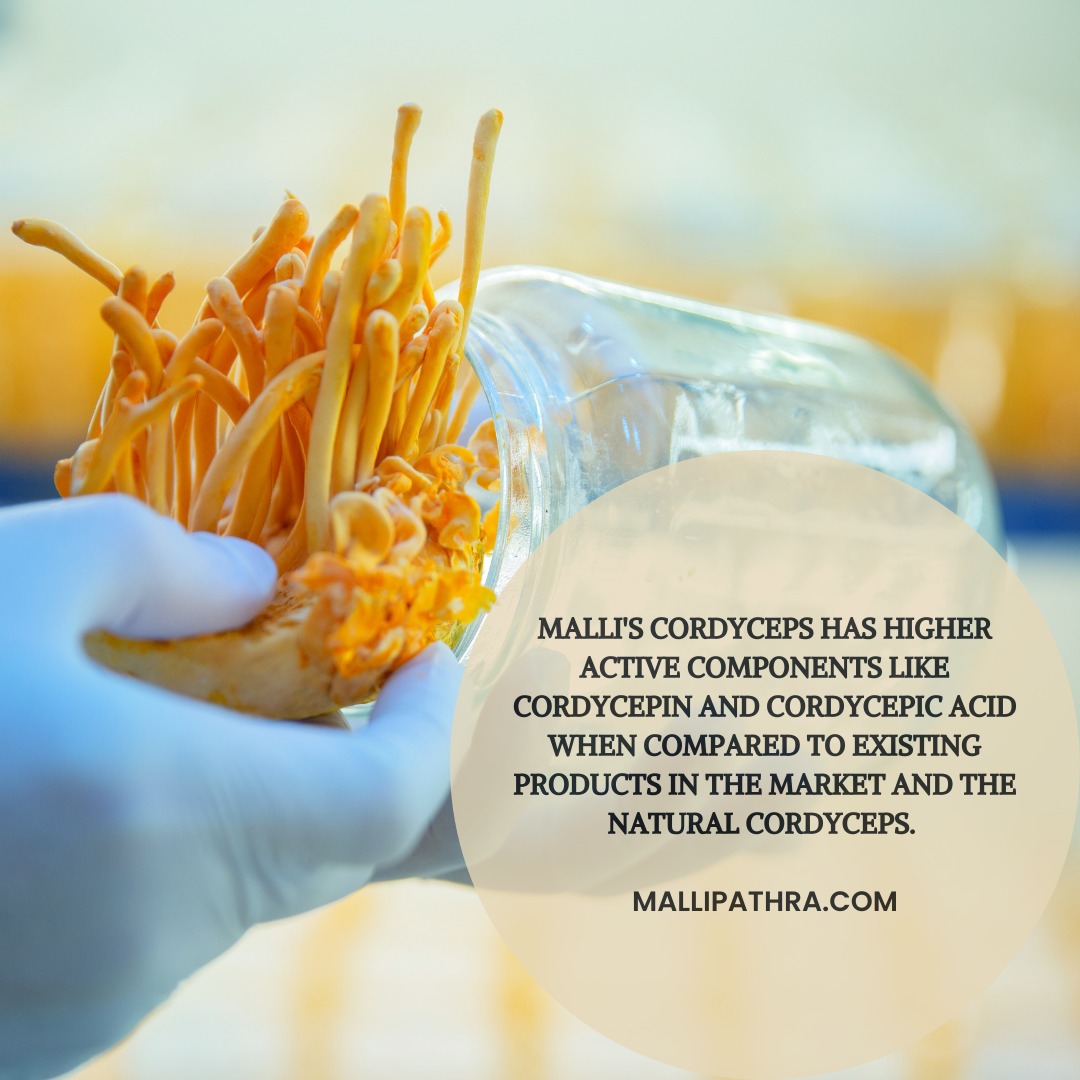 mallipathra's tweet photo. "Cordyceps with Higher Active Components"

#mushlove #mushroomphotography #pilze #mushroomlove #wildmushrooms #mushroom #shroom #mushroom🍄 #mushroomsofinstagram #mushrooms🍄 
#exfoliate #dailyskincare #facecare #skinlove #skintips #skincareluxury #skincaretips #skincareroutines https://t.co/QDY8JRzd7X