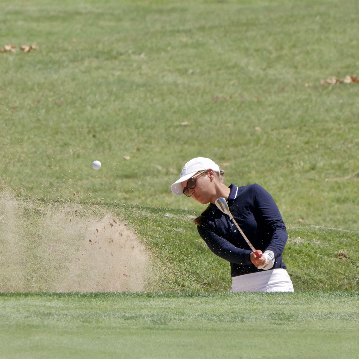 ANNIKA Women's All Pro Tour tweet media