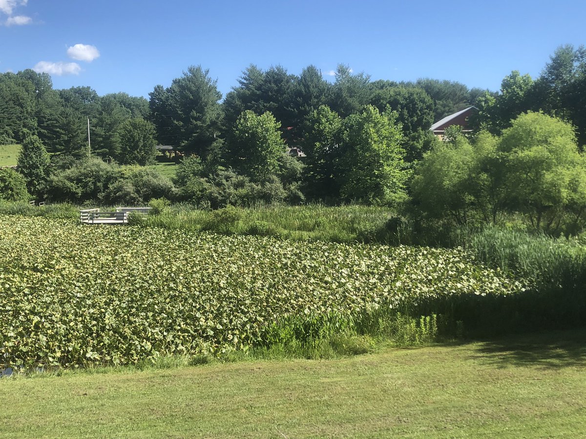 CCPSESOLTeam tweet media