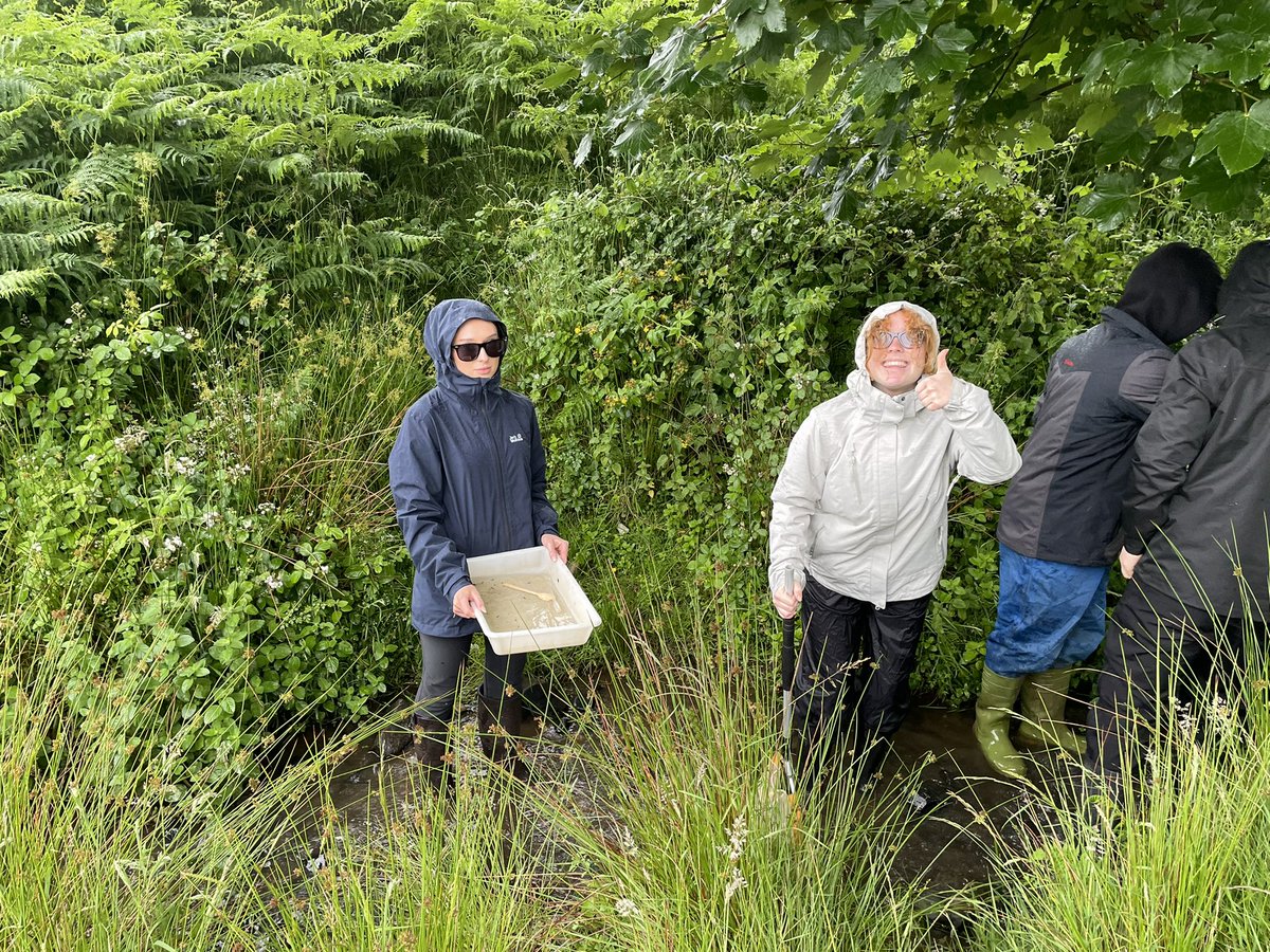 BromsBiology's tweet photo. Catching shrimps and investigating their behaviour https://t.co/zywkANspF8