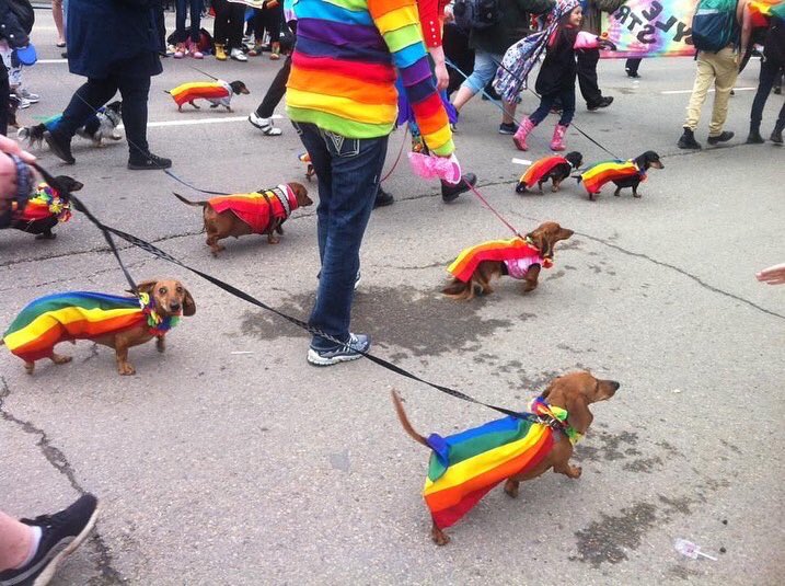 AsucuchaPy's tweet photo. Porque si es amor, no necesita explicación ❤️🌈 #PRIDE #PrideMonth https://t.co/phkSPZ8dIO