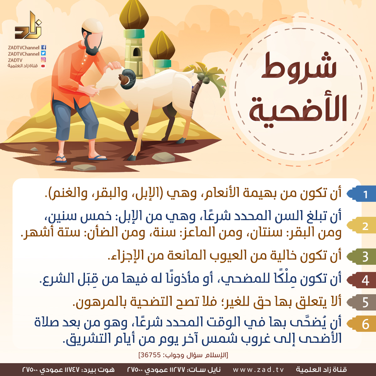 استفد من العلماء في توضيح شروط الأضحية - تعريف شروط الأضحية