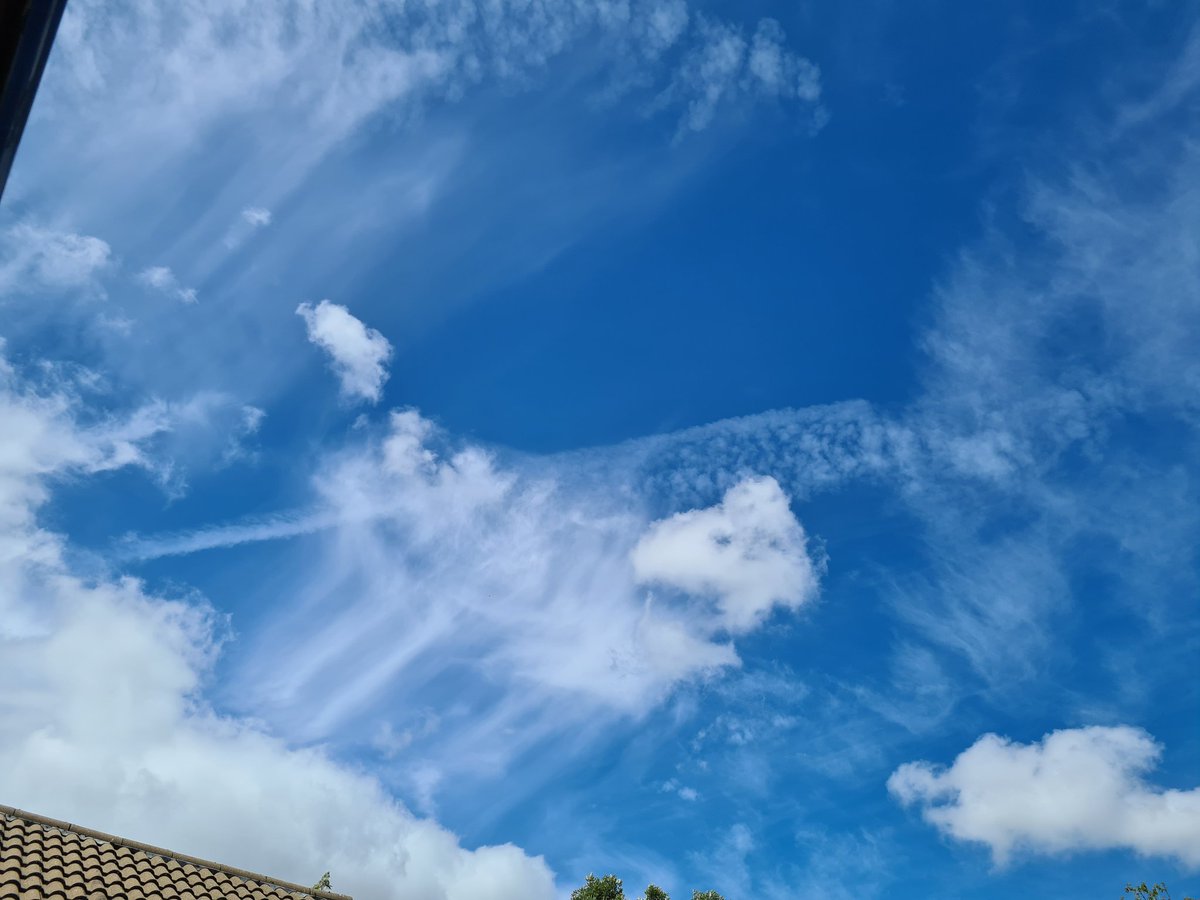 Andrew MacCall (@mac146and) on Twitter photo 