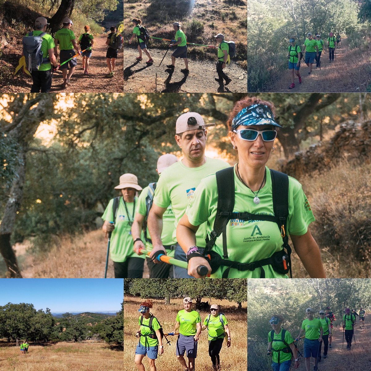 Escuela de Pacientes tweet media