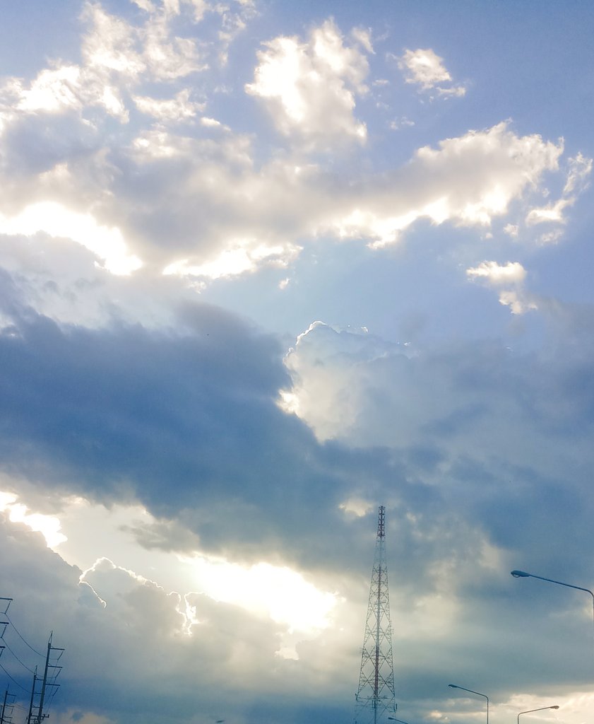 C_sharpmeow's tweet image. ⛅🌲