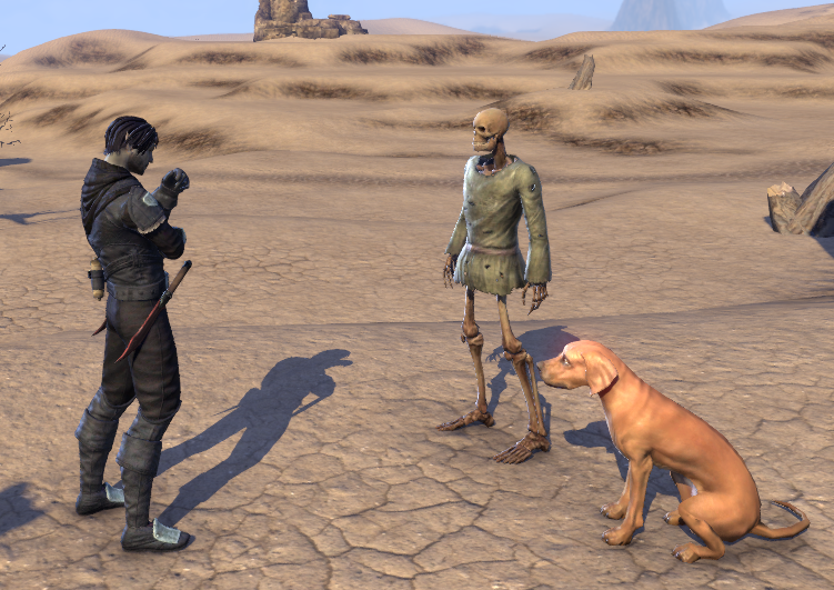 Kovuash's tweet photo. Wulfric is not entirely sure what to make of this strange pair. 
As far as necromancy goes, he supposes a skeleton and his dog happily wandering the Alik'r Desert isn't the worst thing in the world. https://t.co/nODNOhZpu4