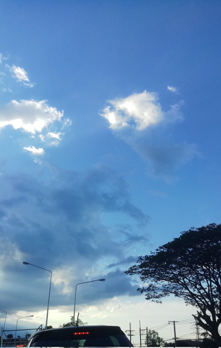 C_sharpmeow's tweet image. ⛅🌲