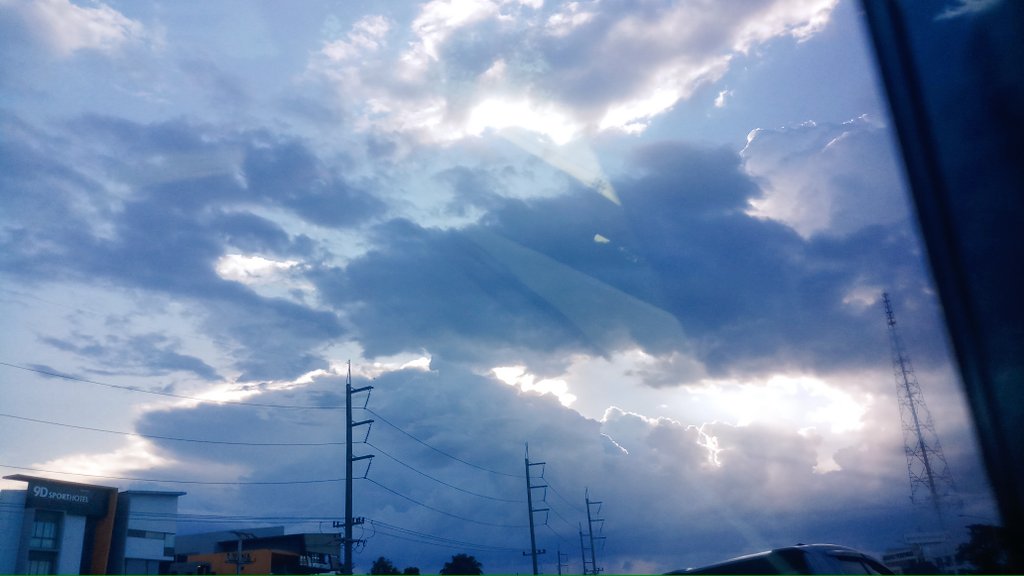 C_sharpmeow's tweet image. ⛅🌲