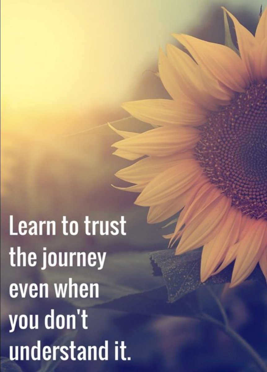 DanicaDreamer's tweet photo. Happy Tuesday! #trustingtuesday #trusttheprocess #havefaith #bestrong #thinkpositive #enjoythejourney #liveyourbestlife #learntonavigate #itcantrainforever #believeingoodthings  #itwillbeokay #yougotthis #danicadreamer https://t.co/8LW0d4mttv