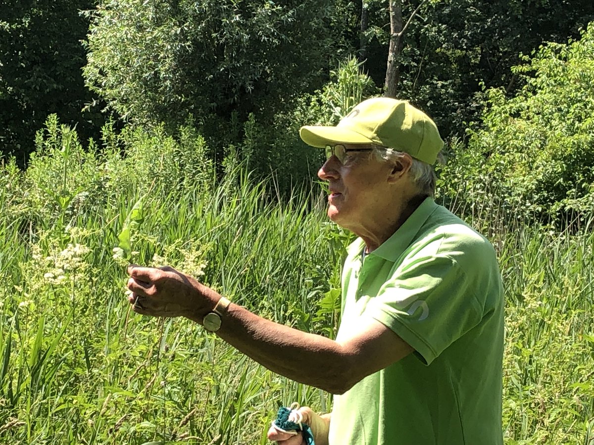 bertnederveen's tweet photo. Mooie excursie door streekbossen en oorspronkelijke sloten bij #Bovenkarspel olv gidsen van @IVNNederland. #vngcongres2022 https://t.co/OZ8nXXdrmK