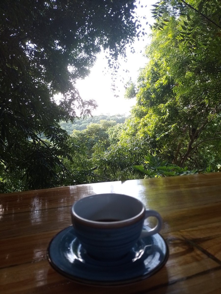jossiraab's tweet photo. Buenos días 🌅 https://t.co/MW6b4NIdS9
