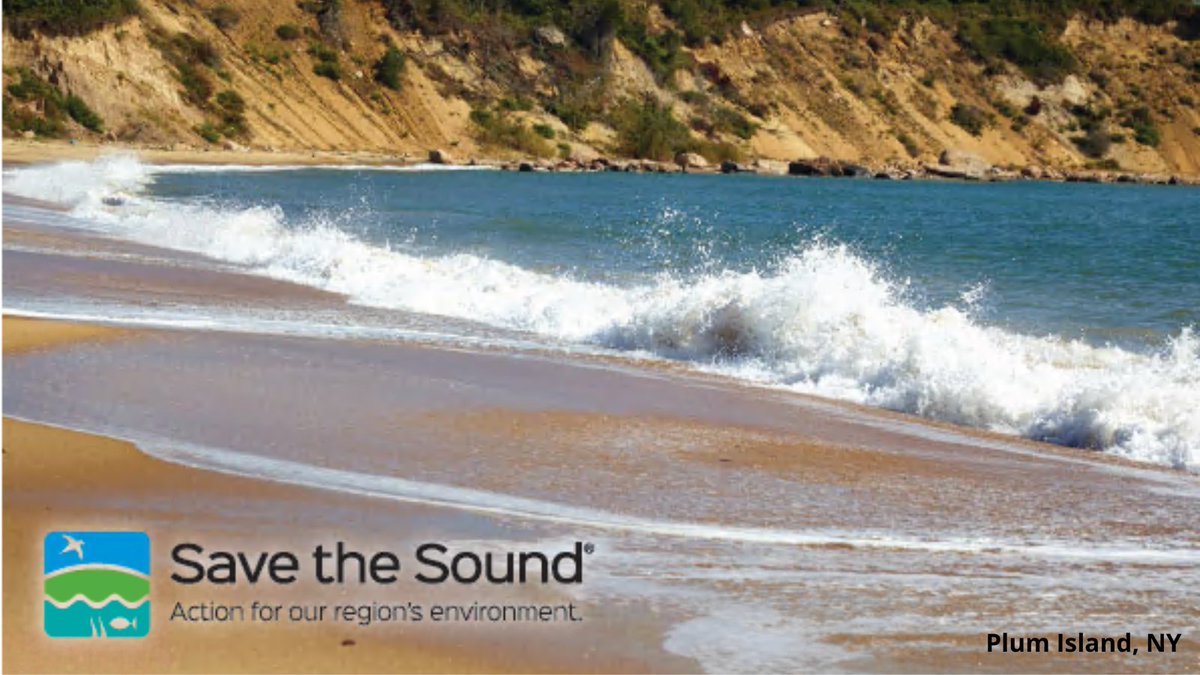 Think about everything you love about Connecticut and New York in the summertime. Think about how much of it depends on clear water, clean air, and protected lands, and then make a gift to preserve it today! Give now at savethesound.org/SummerGift