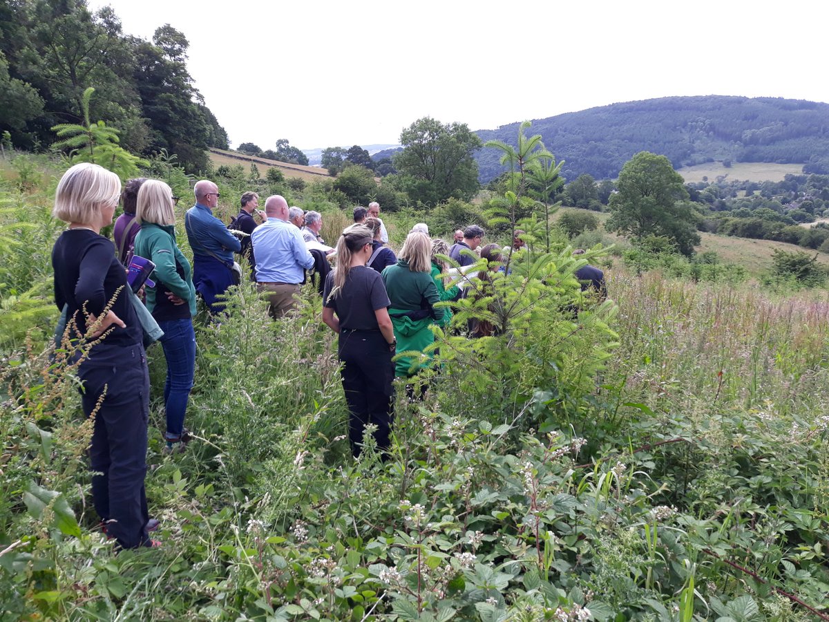 What a treat. Out in <a href="/ChatsworthHouse/">Chatsworth</a> with our <a href="/ForestryComm/">Forestry Commission</a> Advisory Committees looking at woodland creation