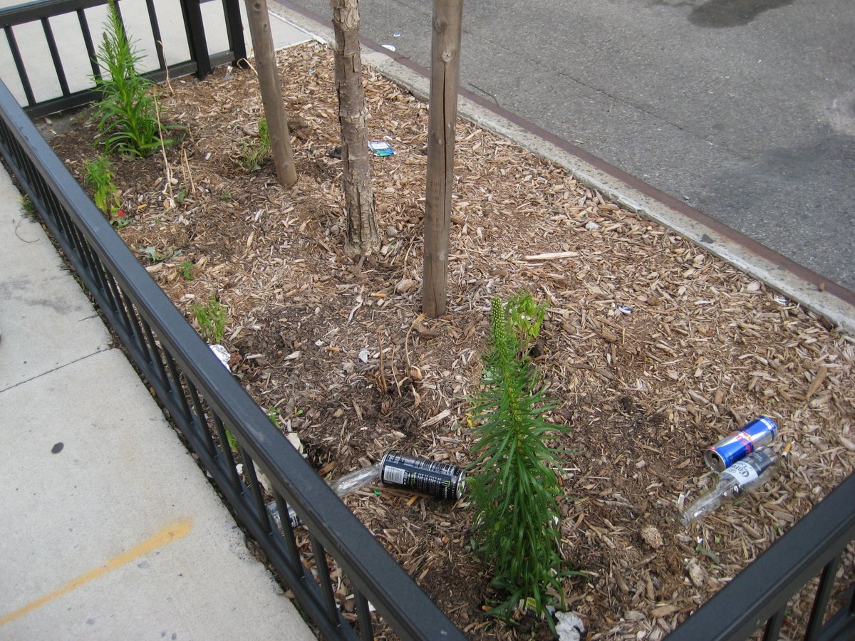 TreesNewYork's tweet photo. We’ve been cleaning up some litter and finishing up the planting in one of our #treebeds, made up mostly of #nativeplants on Manhattan’s east side. We are curious to see how the plants do - and how the #pollinators like them! #nycurbanforest #nycflowers #nycplants #plantflowers https://t.co/fwP2mAdi7V