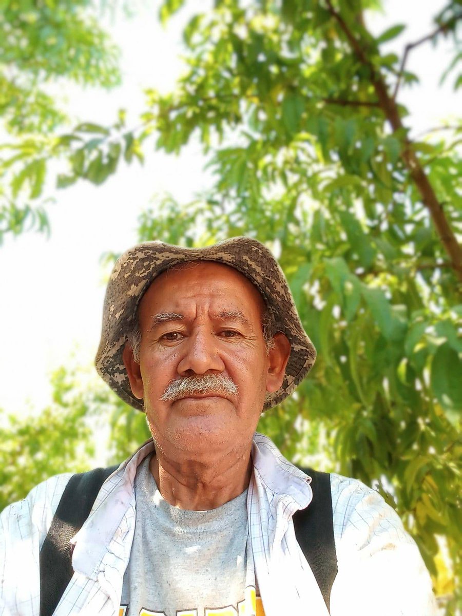 UFWupdates's tweet photo. Asuncion is a farm worker from London CA. He is currently picking peaches as the temperature soars to triple digits.  In his 65 years he has seen many heat waves but they don’t get any easier on him. #WeFeedYou #Calor https://t.co/86iso7CXO2