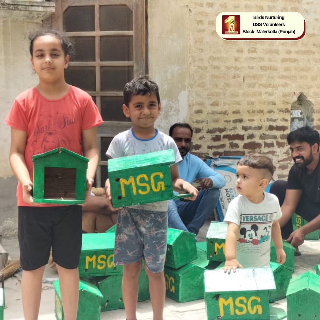 DSSNewsUpdates's tweet photo. Providing feed🫘 &amp; water to birds🐦 is a very small but really thoughtful gesture that can help save their lives. Glimpses of Birds Nurturing Campaign by DSS Volunteers of Malerkotla, Punjab.
#SaveBirds #FeedBirds #BirdsNurturing #DSS #SaintDrGurmeetRamRahimSinghJi #Summer https://t.co/y2909aQG8b