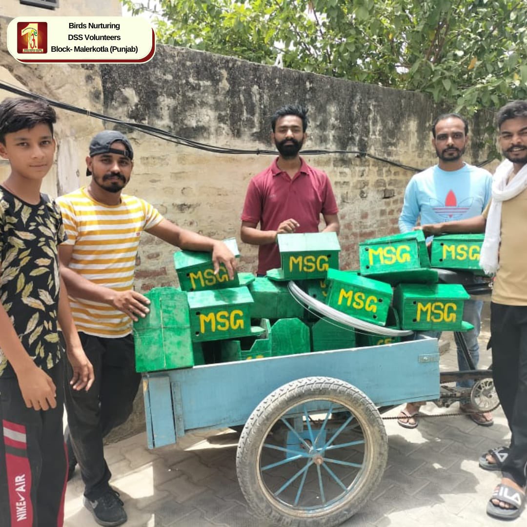 DSSNewsUpdates's tweet photo. Providing feed🫘 &amp; water to birds🐦 is a very small but really thoughtful gesture that can help save their lives. Glimpses of Birds Nurturing Campaign by DSS Volunteers of Malerkotla, Punjab.
#SaveBirds #FeedBirds #BirdsNurturing #DSS #SaintDrGurmeetRamRahimSinghJi #Summer https://t.co/y2909aQG8b