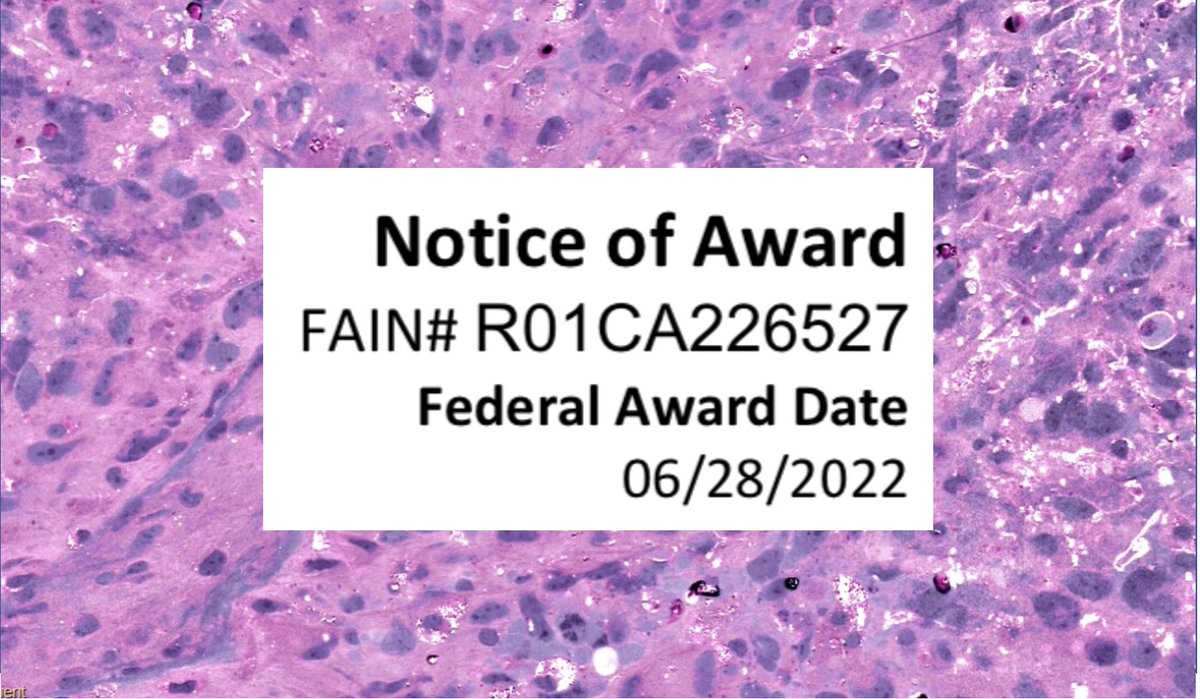 Daniel Orringer tweet media