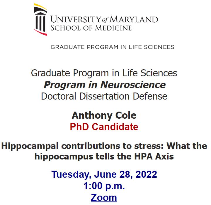 UMMedNeuro's tweet photo. TODAY: PIN MD/PhD candidate Anthony Cole (@Tony_B_Cole) will be presenting his thesis work on hippocampal contributions to stress at his public defense! Tune in via Zoom at 1pm! https://t.co/AI2gWraOfL