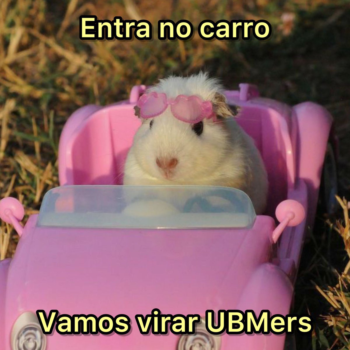 UBM_'s tweet photo. Oi oi, galera! Vamos de tutorial de como fazer a nossa Prova On-line? #VestibulardeInverno 🥶 https://t.co/uAOOTrJu7X