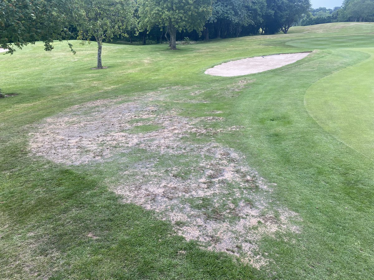 MarkSim93794378's tweet photo. 11th run-off receiving some love today with hand core, overseed with @rigbytaylor r9, @TurfCare_IRL_UK Leo-zeo, dress with @MansfieldSand mm35 and app of wetter 

#itcanrainnow #greenkeeping @MonmouthshireGC https://t.co/mhILNFns8C