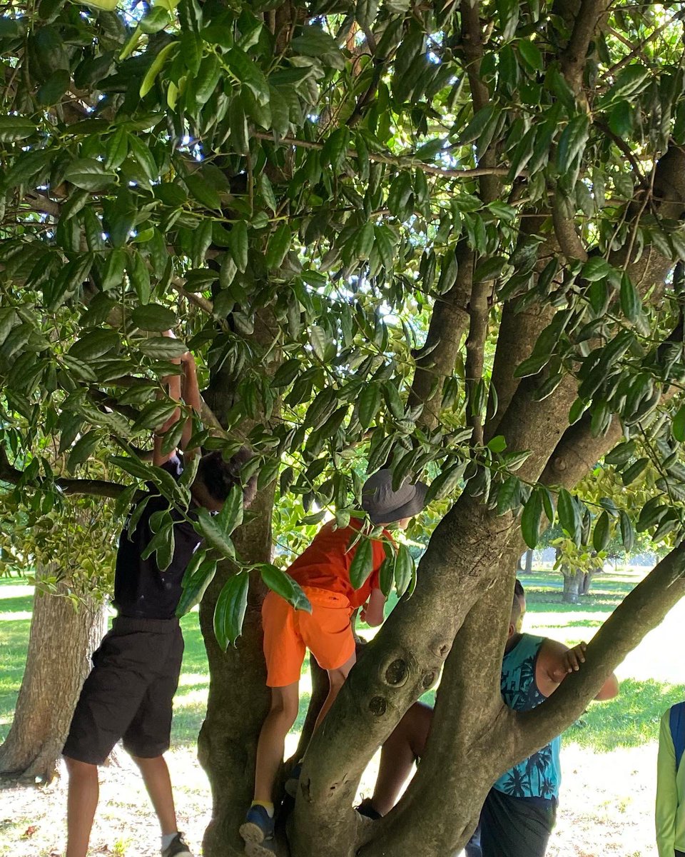 UrbanAdvSquad's tweet image. Good morning to free, accessible public lands, the people who fought to preserve them, and the people who steward them. #JuniorRangerAdventureSquad #ThisIsOutdoorLearning #AnacostiaRiver @KenAqGardens