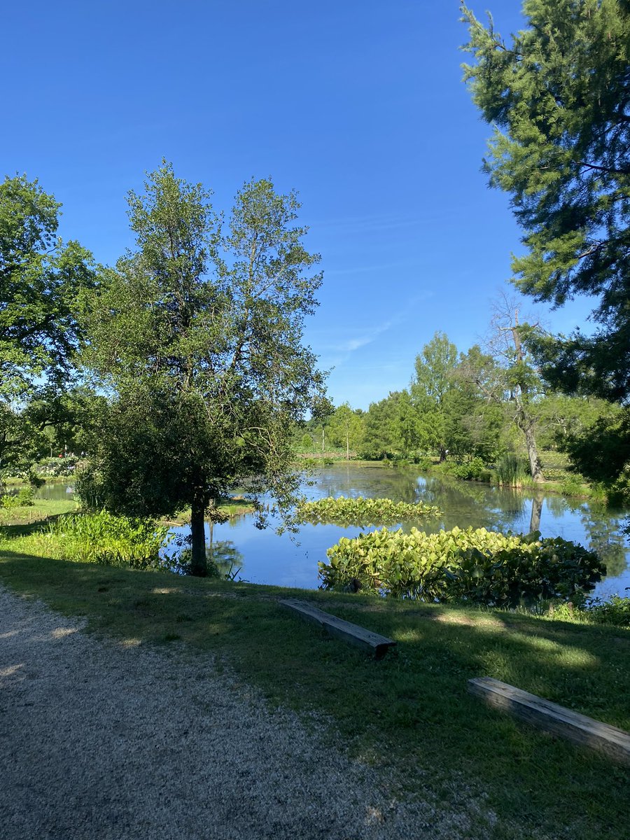 UrbanAdvSquad's tweet image. Good morning to free, accessible public lands, the people who fought to preserve them, and the people who steward them. #JuniorRangerAdventureSquad #ThisIsOutdoorLearning #AnacostiaRiver @KenAqGardens