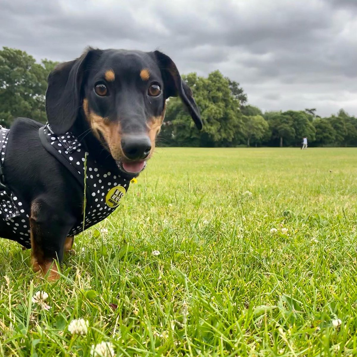 Blessing your timeline with my smiley handsome boy 💙